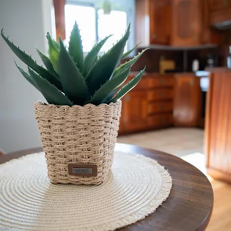 Suncatcher House By 8essentially