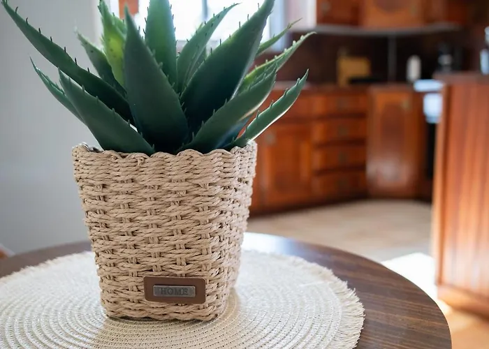 Suncatcher House By 8essentially